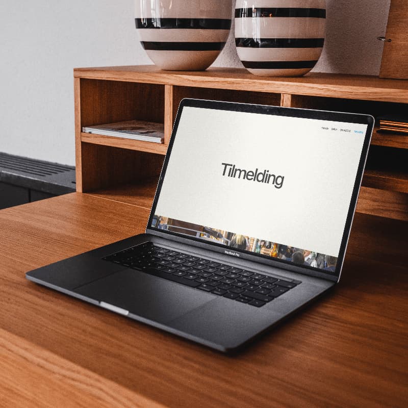 En bild på projektet.